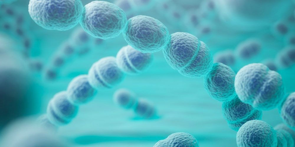 Le streptocoque du groupe A au Japon : la bactérie buzz du printemps 2024 – Informations sur les infections "mangeuses de chair" à SGA