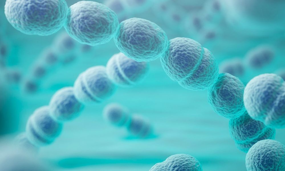 Le streptocoque du groupe A au Japon : la bactérie buzz du printemps 2024 – Informations sur les infections "mangeuses de chair" à SGA
