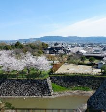 Château de Koriyama – Le spot de sakura avec la vue sur Nara