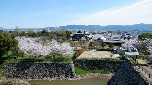 Château de Koriyama – Le spot de sakura avec la vue sur Nara