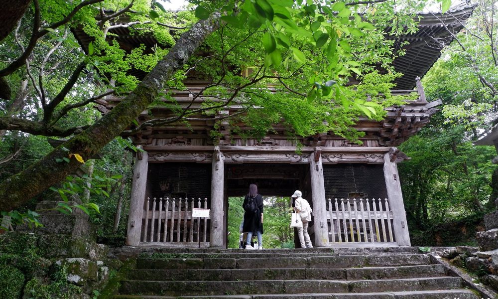 Chikurin-ji – Le grand temple de Kochi