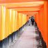 Fushimi Inari Taisha - ⛩️ Le sanctuaire aux 10.000 torii de Kyoto