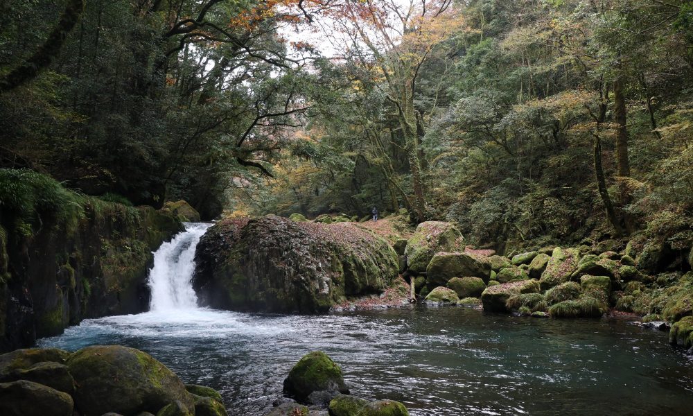 Gorge de Kikuchi – Le bain de forêt à Kumamoto