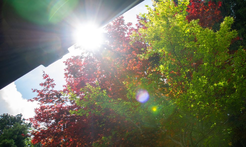 Shubun no Hi – 🌗 Le jour férié de l'Équinoxe d'Automne au Japon