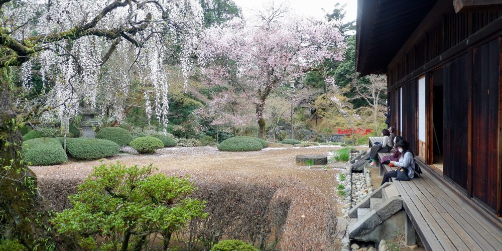Kita-in – Les vestiges du château d’Edo à Kawagoe