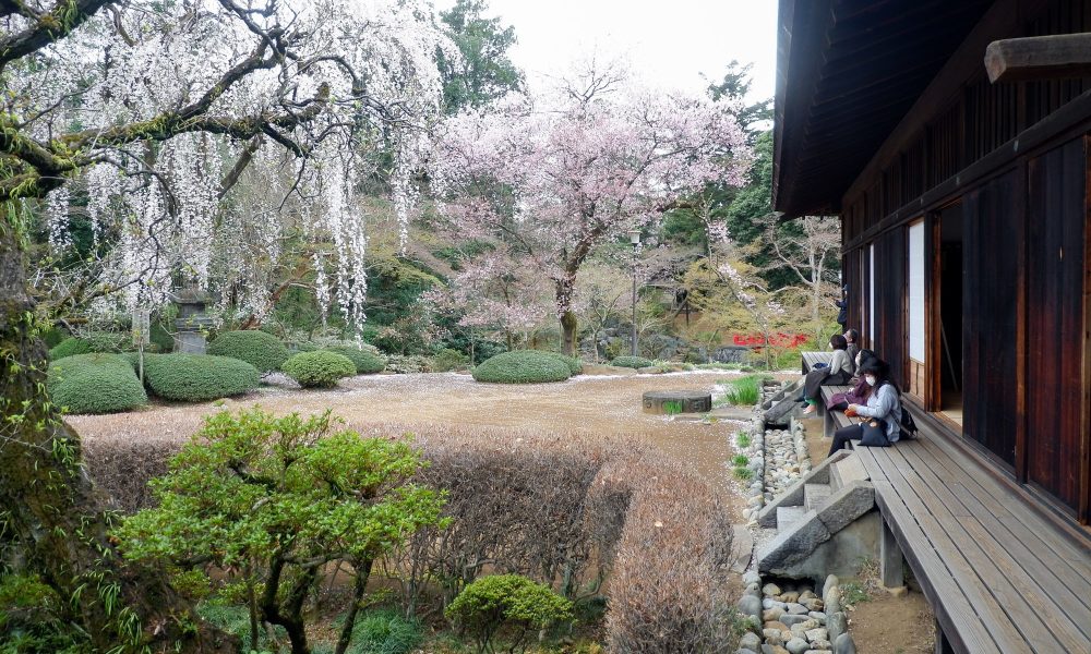 Kita-in – Les vestiges du château d’Edo à Kawagoe