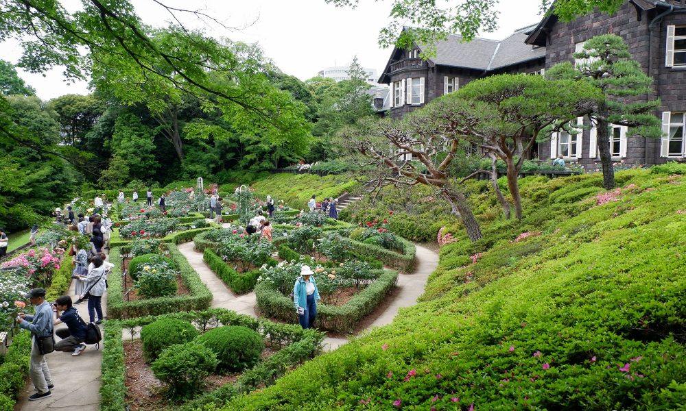 Kyu Furukawa Teien – 🌹Le jardin de roses au nord de Tokyo