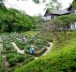 Kyu Furukawa Teien - 🌹Le jardin de roses au nord de Tokyo