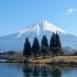 Shizuoka (préfecture) - Le paradis vert du Mont Fuji côté mer
