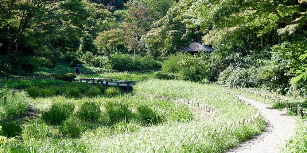 Meiji Jingu Gyoen – Le jardin intérieur du sanctuaire de Harajuku