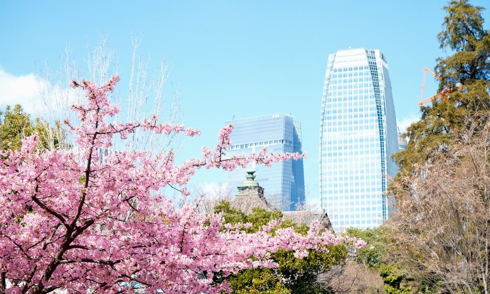 Parc Shiba – Les pelouses au pied de la tour de Tokyo
