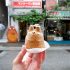 Shirohige’s Cream Puff Factory Kichijoji - Les fameux choux Totoro à Tokyo