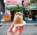 Shirohige’s Cream Puff Factory Kichijoji - Les fameux choux Totoro à Tokyo