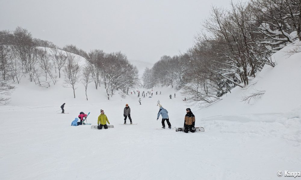 Le ski au Japon