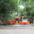 Tadasu no Mori - 🌳 La forêt sacrée de Shimogamo au nord de Kyoto