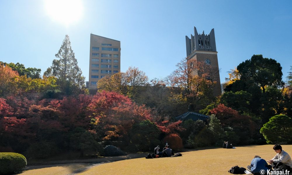 Waseda – Le quartier tranquille et étudiant au nord-est de Tokyo