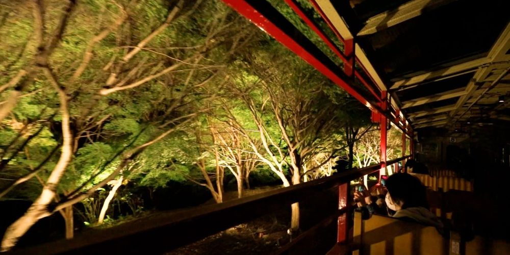 [Vidéo] Balade féérique autour des feuillages d’automne illuminés de Kyoto
