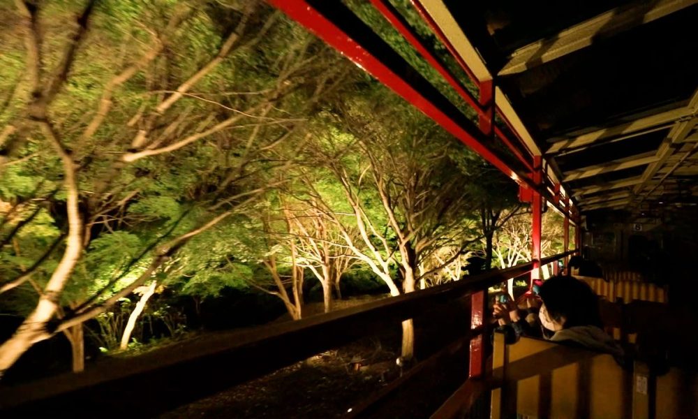 [Vidéo] Balade féérique autour des feuillages d’automne illuminés de Kyoto