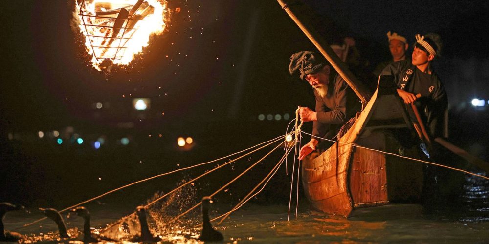 [Vidéo] L’ouverture de la pêche au cormoran à Gifu, une tradition vieille de 1 300 ans
