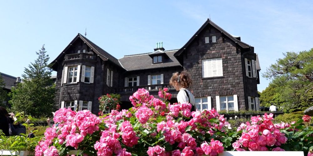 [Vidéo] Des roses printanières embellissent une splendide demeure occidentale au jardin de Kyû-Furukawa