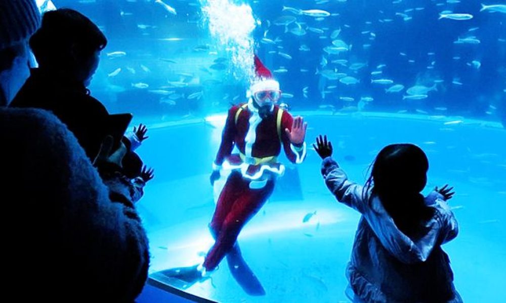 [Vidéo] Un père Noël en plongée dans un aquarium de Yokohama