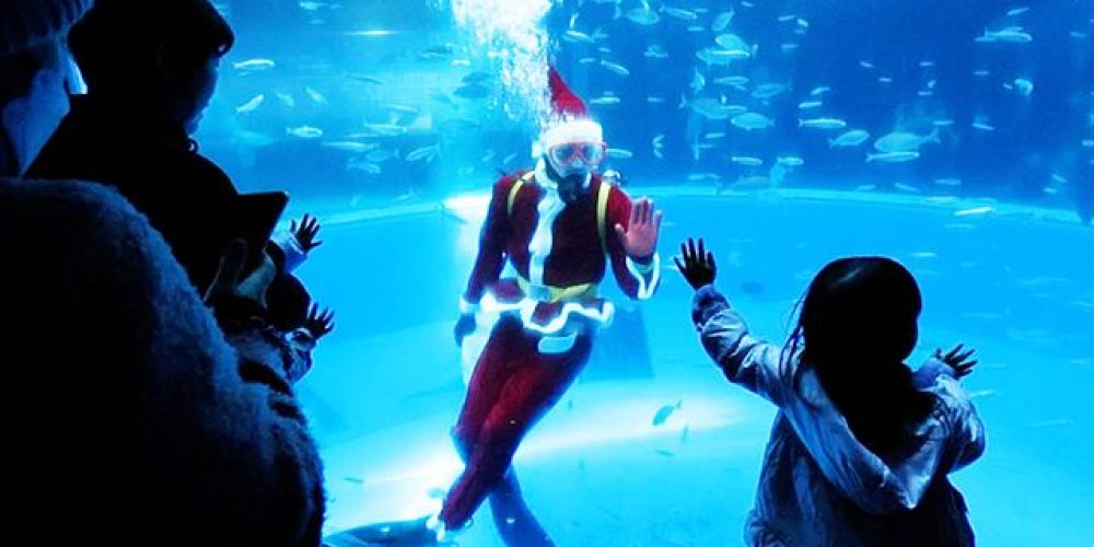 [Vidéo] Un père Noël en plongée dans un aquarium de Yokohama