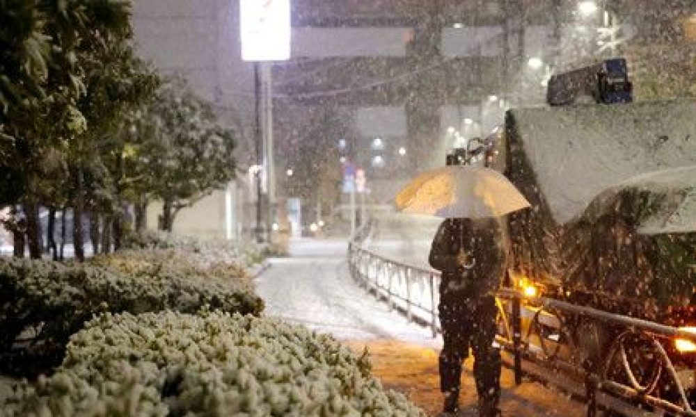 Tokyo et ses environs sous de grosses neiges