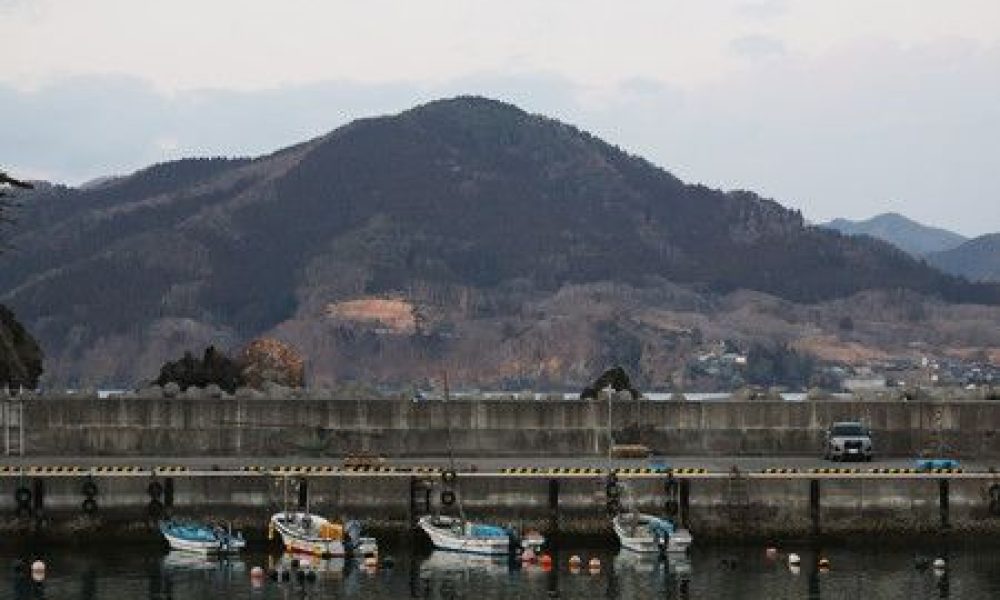 Le gigantesque incendie de forêt au nord-est du Japon a enfin pu être maîtrisé