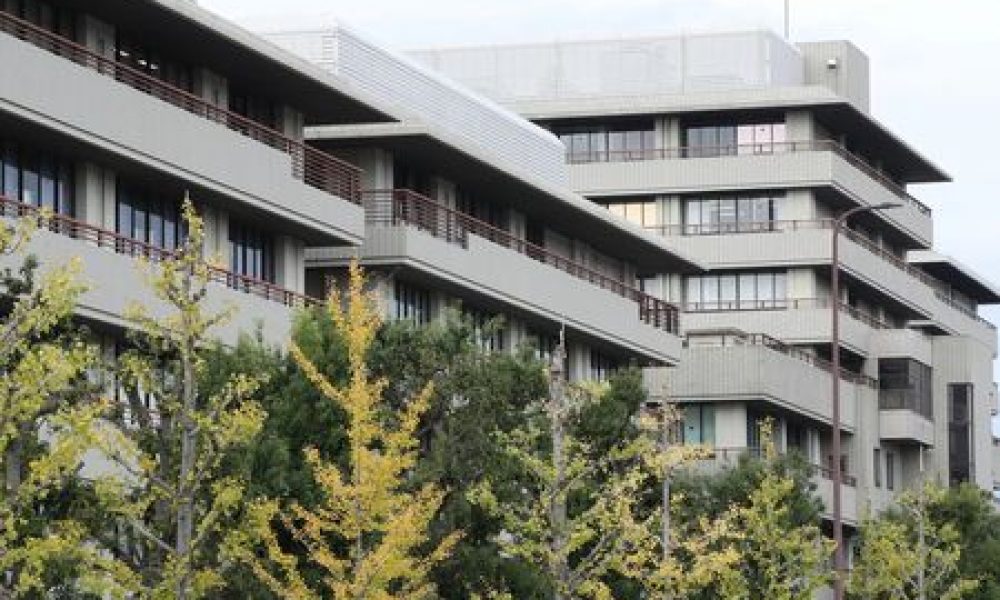 Alzheimer : la perte d’une certaine protéine dans le cerveau améliore les fonctions cognitives, selon une équipe japonaise