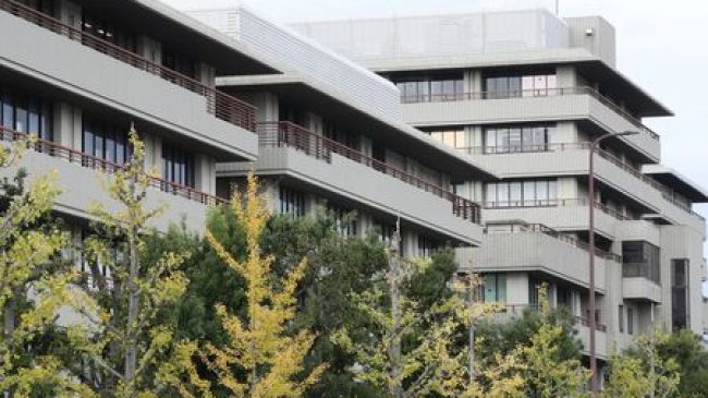 Alzheimer : la perte d’une certaine protéine dans le cerveau améliore les fonctions cognitives, selon une équipe japonaise