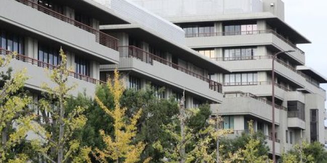 Alzheimer : la perte d’une certaine protéine dans le cerveau améliore les fonctions cognitives, selon une équipe japonaise
