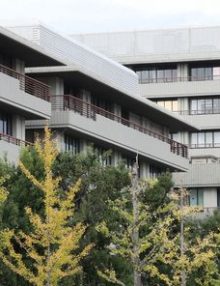 Alzheimer : la perte d’une certaine protéine dans le cerveau améliore les fonctions cognitives, selon une équipe japonaise