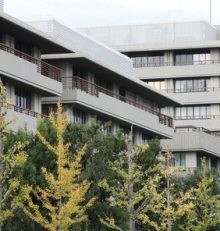 Alzheimer : la perte d’une certaine protéine dans le cerveau améliore les fonctions cognitives, selon une équipe japonaise