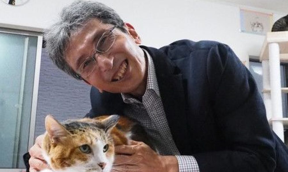 Chats calico : une équipe japonaise découvre le gène responsable de leur robe