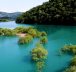 [Vidéo] Les « arbres submergés » du lac Shûsen