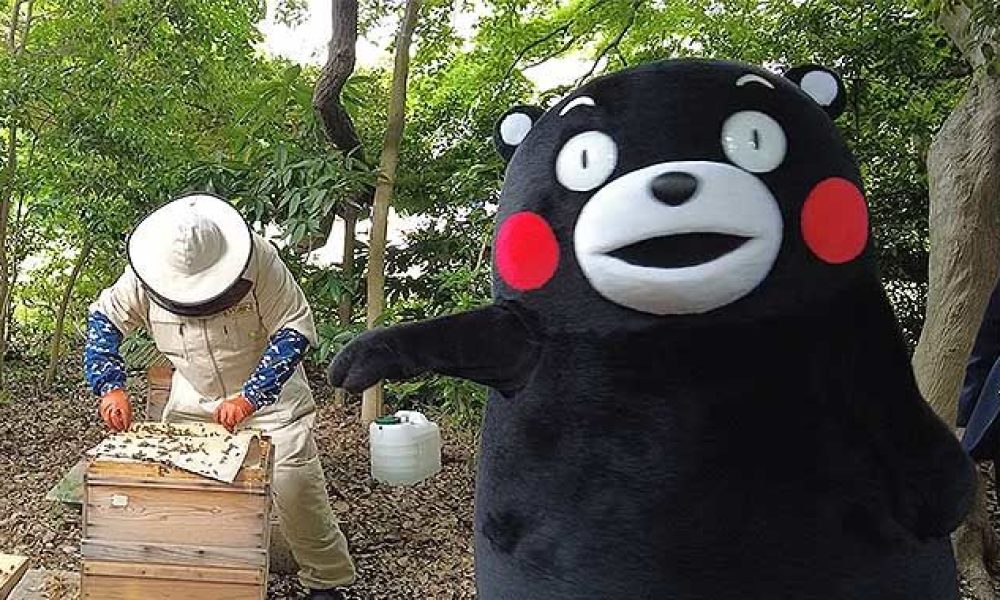 [Vidéo] Kumamon en visite à l’ambassade de France pour promouvoir les échanges touristiques