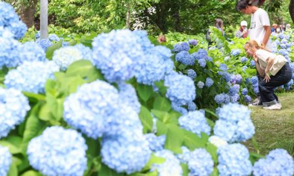 La saison des pluies a débuté à Tokyo et ses régions environnantes