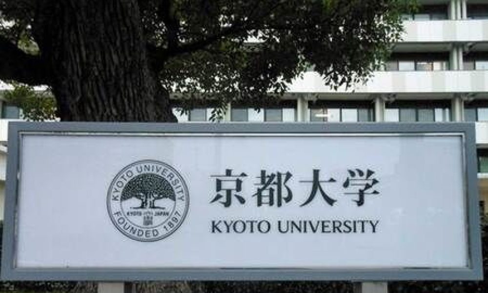 « Adriana » : une équipe japonaise développe un médicament révolutionnaire comparable à la morphine