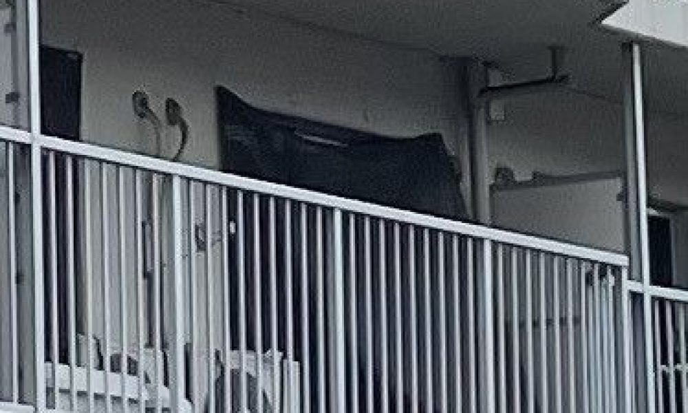 Le fils de l’ancien gourou de la secte Aum officiellement reconnu comme le chef d’Aleph