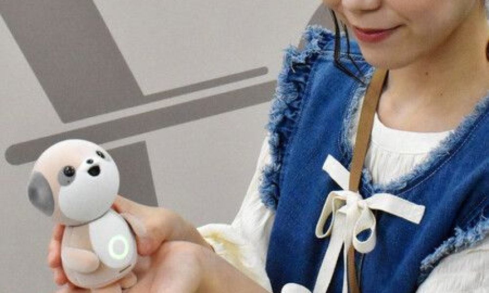 Le Japon présente Poketomo, un mini-robot qui converse avec son propriétaire grâce à l’IA